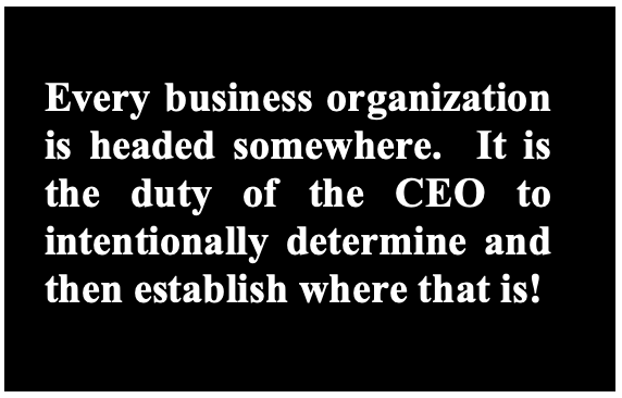 Role Of The CEO